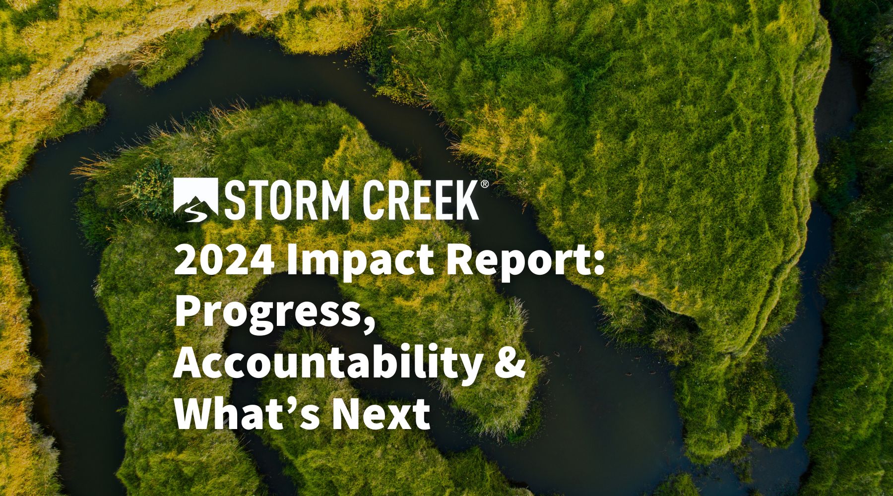 2024 Impact Report: Progress, Accountability & What's Next