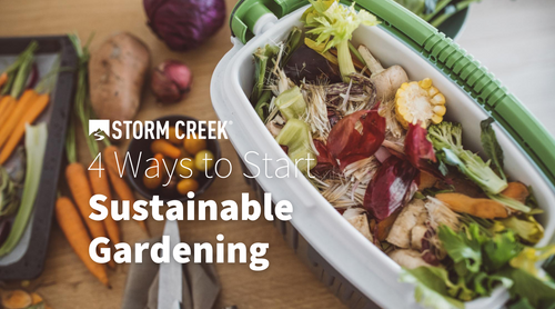 4 Ways to Start Sustainable Gardening