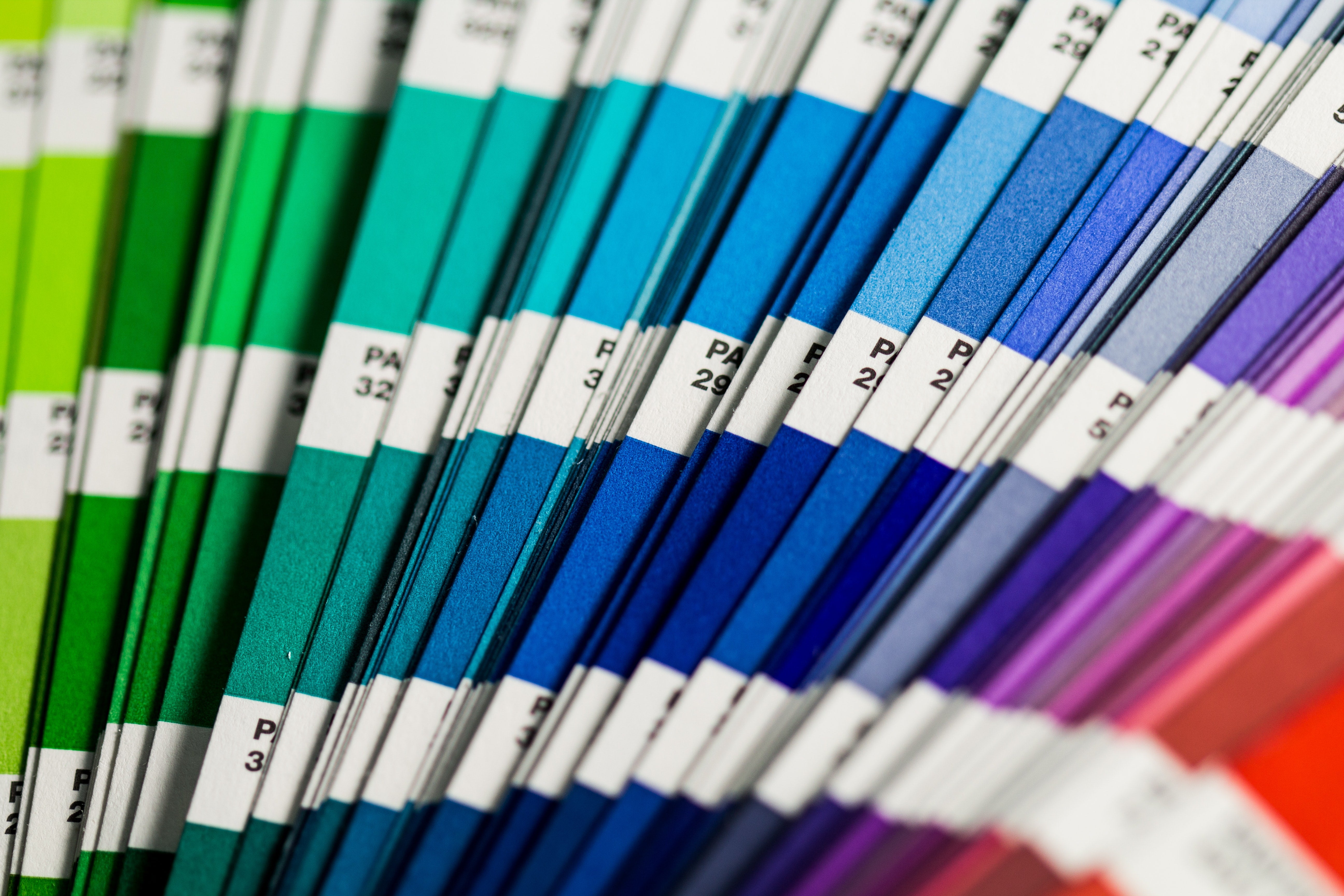 Color Trends